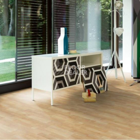 Parador Basic Plus 200 1426411 Клён Натуральный фото 4 | FLOORDEALER